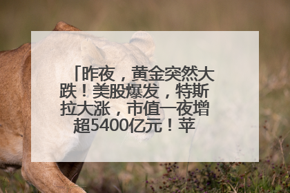 昨夜，黄金突然大跌！美股爆发，特斯拉大涨，市值一夜增超5400亿元！苹果传来大消息