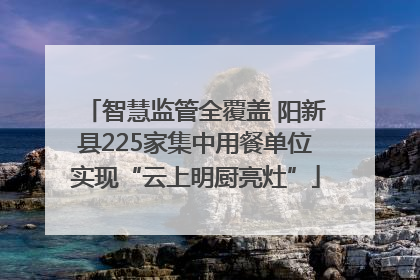 智慧监管全覆盖 阳新县225家集中用餐单位实现“云上明厨亮灶”