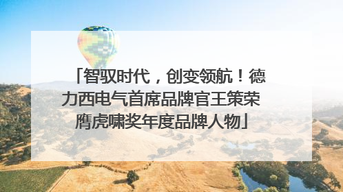 智驭时代，创变领航！德力西电气首席品牌官王策荣膺虎啸奖年度品牌人物