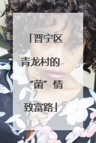 晋宁区青龙村的“菌”情致富路