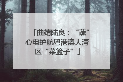 曲靖陆良：“蔬”心电护航粤港澳大湾区“菜篮子”