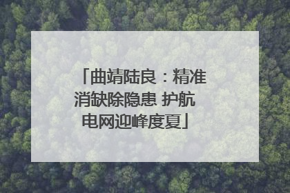 曲靖陆良：精准消缺除隐患 护航电网迎峰度夏