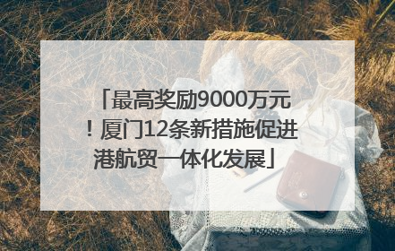最高奖励9000万元！厦门12条新措施促进港航贸一体化发展