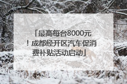 最高每台8000元！成都经开区汽车促消费补贴活动启动