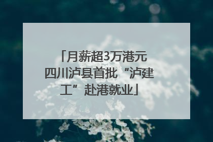 月薪超3万港元 四川泸县首批“泸建工”赴港就业