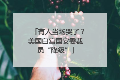 有人当场哭了？美国白宫国安委裁员“降级”