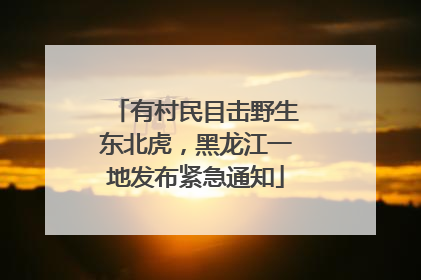 有村民目击野生东北虎，黑龙江一地发布紧急通知