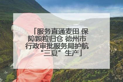 服务直通麦田 保障颗粒归仓 德州市行政审批服务局护航“三夏”生产