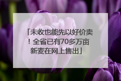 未收也能先以好价卖！全省已有70多万亩新麦在网上售出