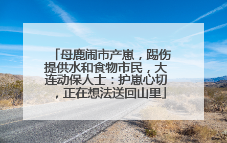 母鹿闹市产崽，踢伤提供水和食物市民，大连动保人士：护崽心切，正在想法送回山里