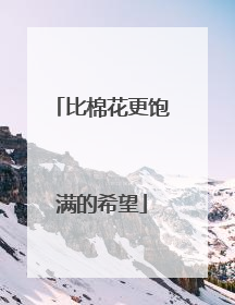 比棉花更饱满的希望