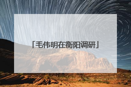 毛伟明在衡阳调研