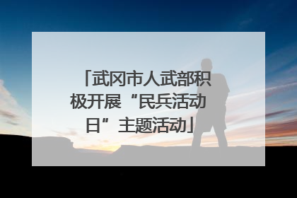 武冈市人武部积极开展“民兵活动日”主题活动