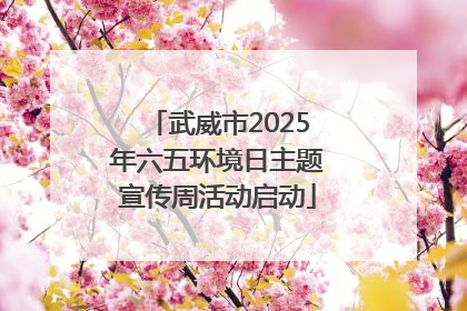 武威市2025年六五环境日主题宣传周活动启动