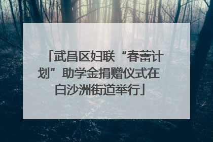 武昌区妇联“春蕾计划”助学金捐赠仪式在白沙洲街道举行