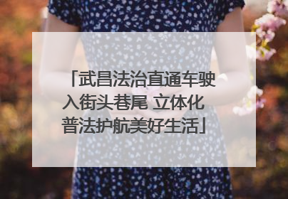 武昌法治直通车驶入街头巷尾 立体化普法护航美好生活