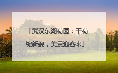 武汉东湖荷园：千荷绽新姿，美景迎客来