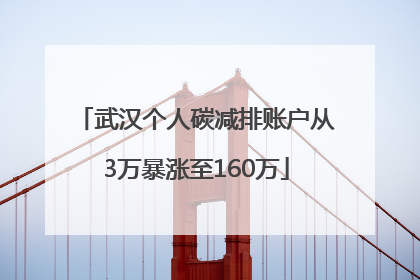 武汉个人碳减排账户从3万暴涨至160万