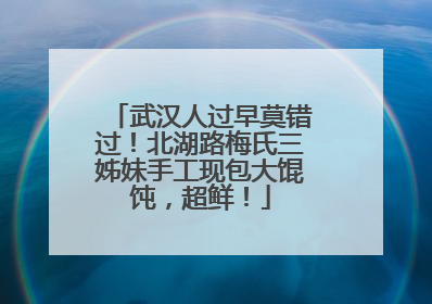 武汉人过早莫错过！北湖路梅氏三姊妹手工现包大馄饨，超鲜！