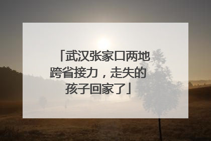 武汉张家口两地跨省接力，走失的孩子回家了