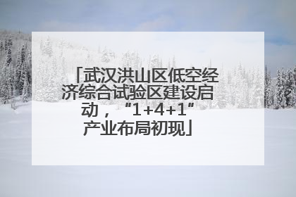 武汉洪山区低空经济综合试验区建设启动，“1+4+1”产业布局初现