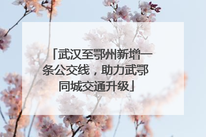 武汉至鄂州新增一条公交线，助力武鄂同城交通升级