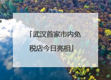 武汉首家市内免税店今日亮相