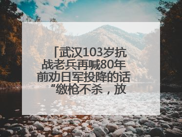 武汉103岁抗战老兵再喊80年前劝日军投降的话 “缴枪不杀，放你回家”