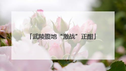武陵腹地“激战”正酣