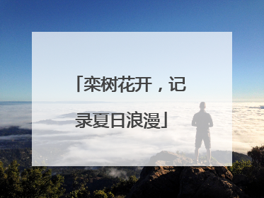 栾树花开，记录夏日浪漫