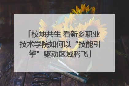 校地共生 看新乡职业技术学院如何以“技能引擎”驱动区域腾飞
