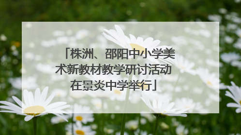 株洲、邵阳中小学美术新教材教学研讨活动在景炎中学举行