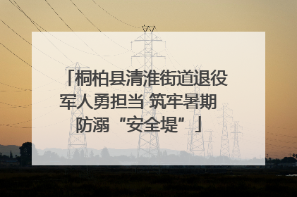桐柏县清淮街道退役军人勇担当 筑牢暑期防溺“安全堤”
