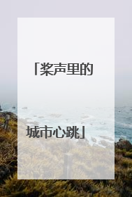 桨声里的城市心跳