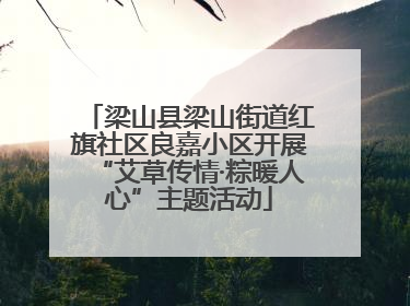 梁山县梁山街道红旗社区良嘉小区开展“艾草传情·粽暖人心”主题活动