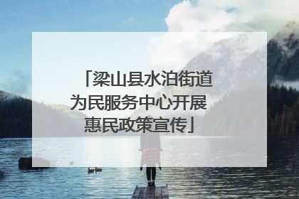 梁山县水泊街道为民服务中心开展惠民政策宣传