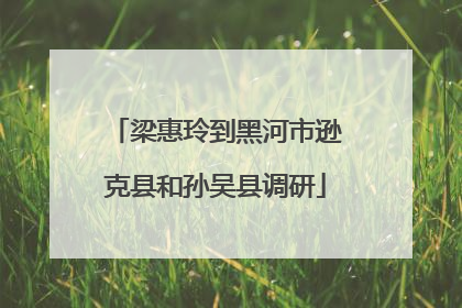 梁惠玲到黑河市逊克县和孙吴县调研