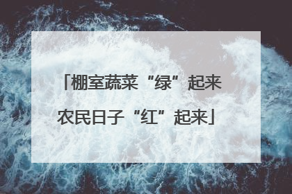 棚室蔬菜“绿”起来 农民日子“红”起来