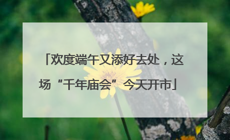 欢度端午又添好去处，这场“千年庙会”今天开市