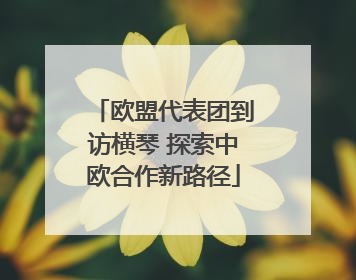 欧盟代表团到访横琴 探索中欧合作新路径