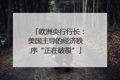 欧洲央行行长：美国主导的经济秩序“正在破裂”