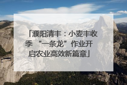 濮阳清丰：小麦丰收季 “一条龙”作业开启农业高效新篇章