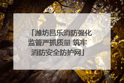 潍坊昌乐消防强化监管严抓质量 筑牢消防安全防护网