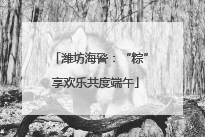 潍坊海警：“粽”享欢乐共度端午
