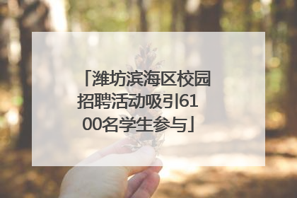 潍坊滨海区校园招聘活动吸引6100名学生参与