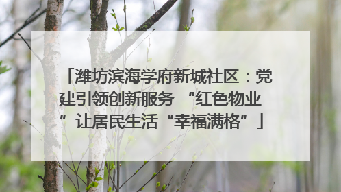 潍坊滨海学府新城社区：党建引领创新服务 “红色物业”让居民生活“幸福满格”