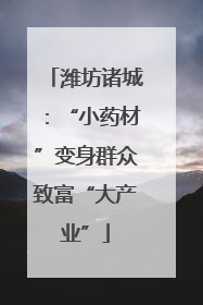 潍坊诸城：“小药材”变身群众致富“大产业”