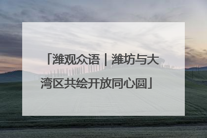 潍观众语｜潍坊与大湾区共绘开放同心圆