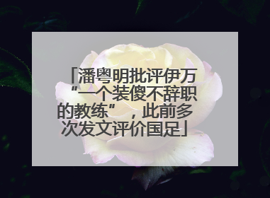 潘粤明批评伊万“一个装傻不辞职的教练”，此前多次发文评价国足