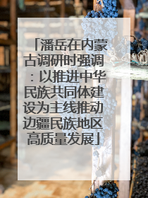 潘岳在内蒙古调研时强调：以推进中华民族共同体建设为主线推动边疆民族地区高质量发展
